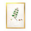 Vintage Botanicals I - peinture sur toile-59814201-59814202