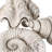 Polyresin Coastal Shell Design Sculptures Decorative Accent Figurines, Set Of 3 - 5", 3" Ivory