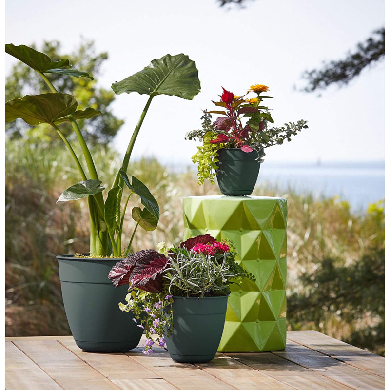 Dayton Traditional Recycled Plastic Indoor/Outdoor Planter with Attached Saucer, Turtle Green, 5.75" H x 6" W x 6" D