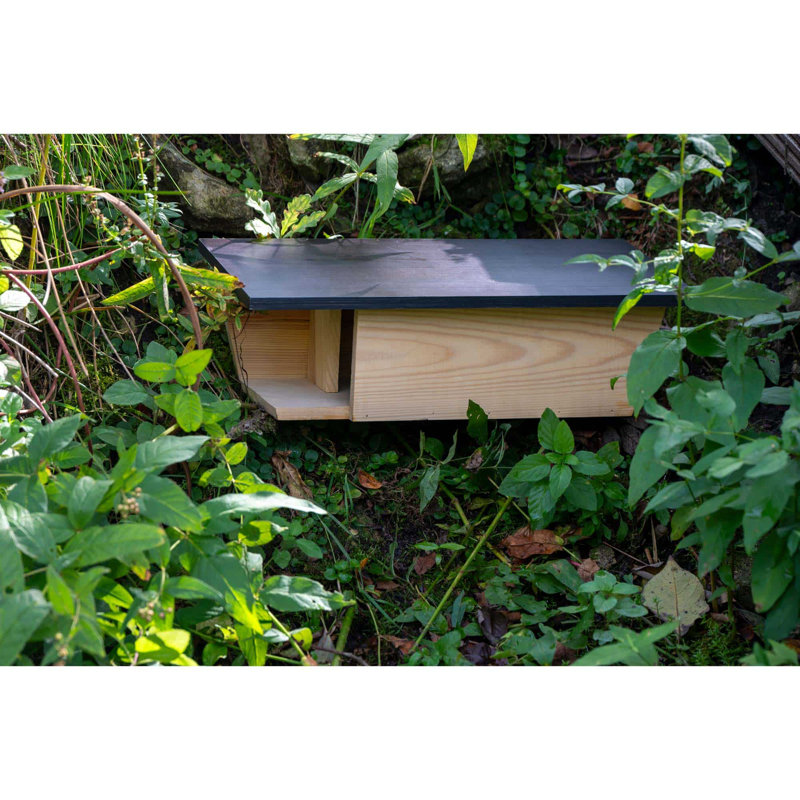 Welke Mounted Bird House