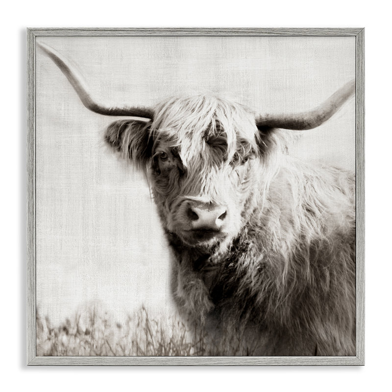 Giclée Highland Cow par Danita Delimont, H 12 po x l 12 po, Estampe numérique Farmhouse