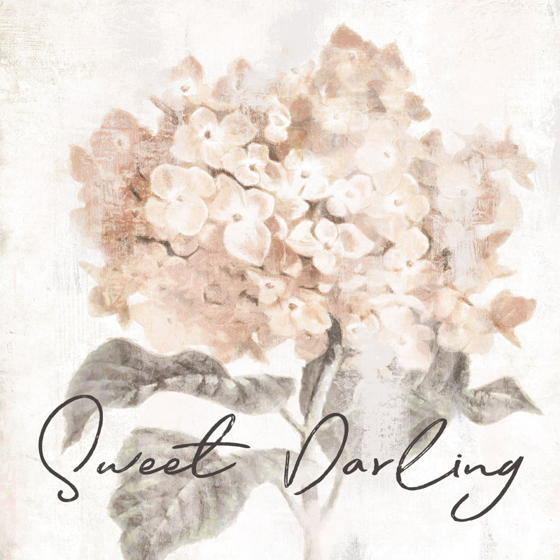 Sweet Darling Hydrangea - Wrapped Canvas Painting, 76cm H x 76cm W x 3.8cm D