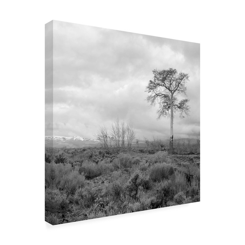 Art sur toile, Bachelor, Kent, H 14 po x l 14 po