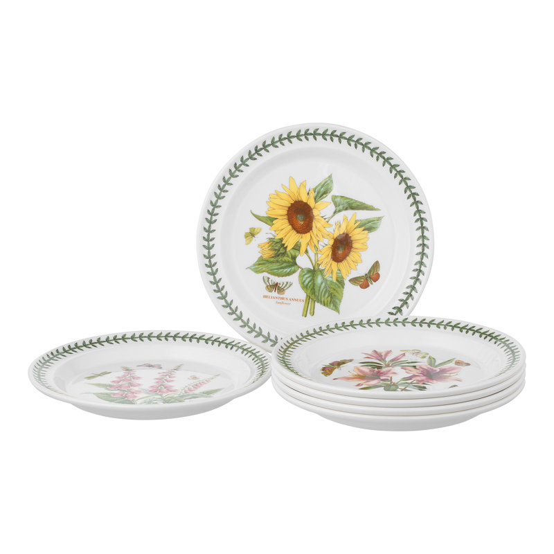 Portmeirion, Botanic Garden - Dinner Plates