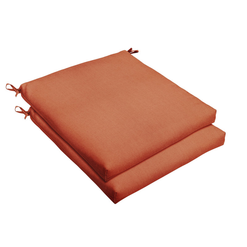 Outdoor 2.5'' Dining Chair Seat Cushion, Fresco Apple Green, 2.5" H x 20" W x 20" D