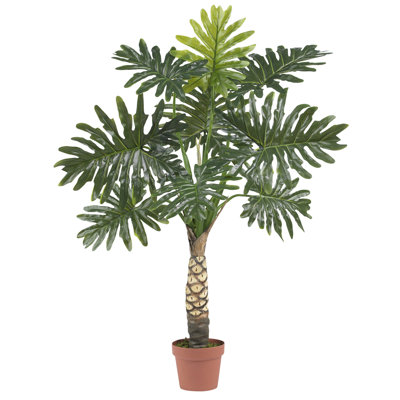 48'' Plant