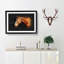 Chestnut Brown Horse - Picture Frame Graphic Art Print-56917172-56917173