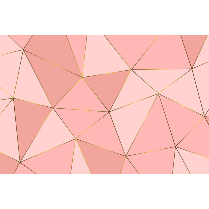 Byrdstown Golden Geometric Background - Wrapped Canvas Print, 30cm H x 46cm W x 3.8cm D