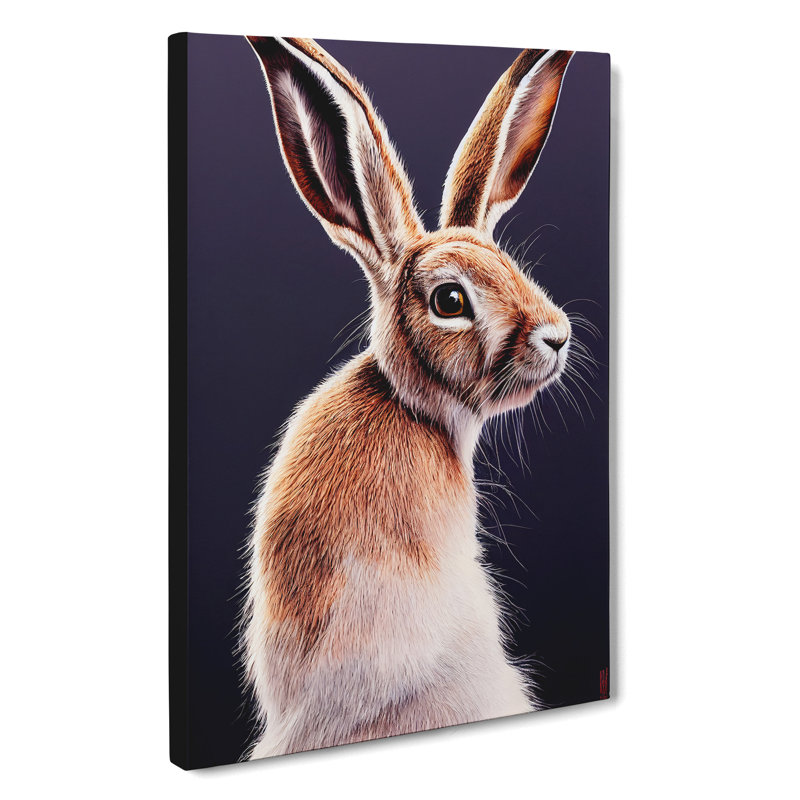 A Curious Hare - Wrapped Canvas Print, 76cm H x 50cm W x 3cm D
