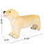 Banc pour chien Brown