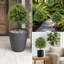 85 cm H Faux Plant