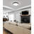 Arne 20.75 inch 1 Light Flush Mount in Matte Black-292030139