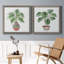 Boho Greenery I - ensemble de 2 peintures sur toile encadrées-1793192158-1793192155