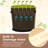 Outdoor Wooden Planter Box Set of 3 w/ Drainage Holes for Flower Herb Shrub