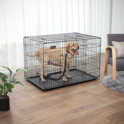 Cage pour chien Tucker Murphy Pet ™, panneau de séparation réglable, chenil pliable pour chien de 48 pouces avec 2 portes, plateau amovible, cage pour chien en métal, très grand