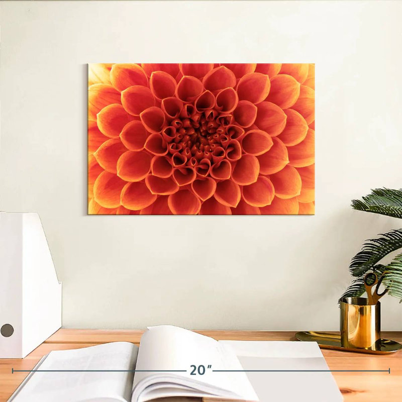 Dahlia orange Harnek, H 8 po x l 12 po