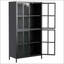 Armoire de rangement en métal noir de qualité supérieure avec portes en verre trempé, tablettes réglables et dispositifs de sécurité pour la maison et le bureau