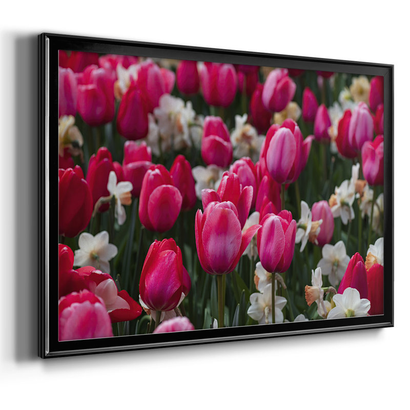 Ressemble au printemps, H 26 po x l 38 po x P 1,5 po, Noir