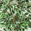 150cm Faux Tree in Pot Liner