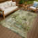 Machine Washable Indoor/Outdoor Efimenko ACN2300 Abstract Rug