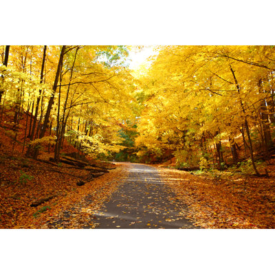 Autumn Forest Road by Bukharova - Wrapped Canvas Print