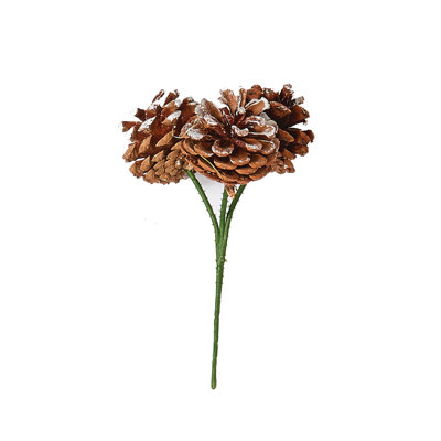 Cône de pin