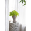 Jardinière en ciment de style grec - Décoration de jardin intérieur et extérieur, P 7 po x 11 po-844604080