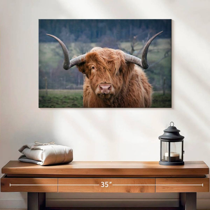 Brampt Wooly Highland Cow, H 16 po x l 24 po