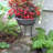 Selby Metal Gazing Ball Stand-1124726028