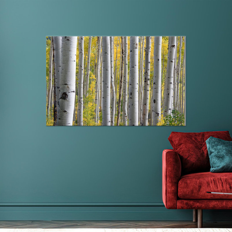 Print on Canvas, 20 cm H x 30 cm W, Wrapped Canvas