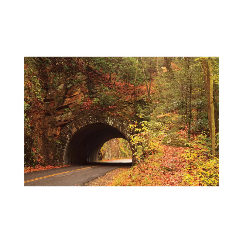 USA, Tennesse. Tunnel Along The Road To Cades Cove In The Fall. by Joanne Wells - Wrapped Canvas Print