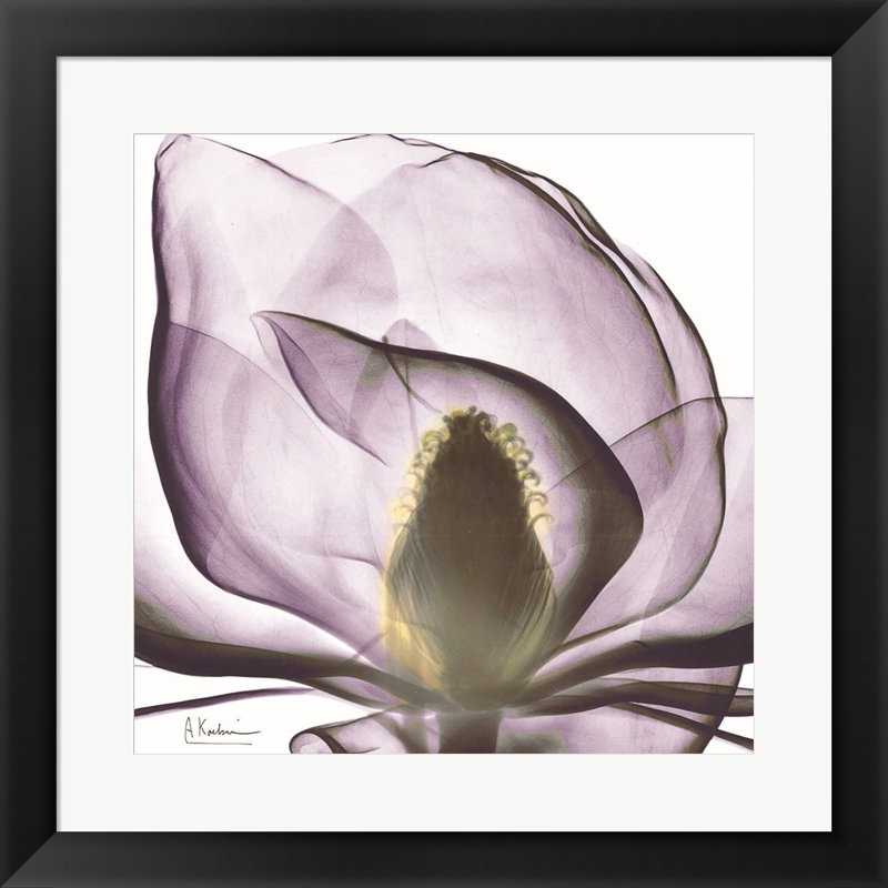 «Magnolia» par Albert Koetsier - Cadre photo unique, impression