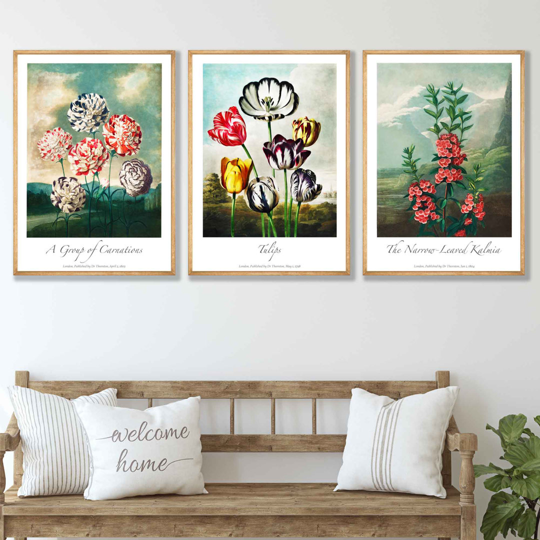 3 Piece Cottage Garden Flowers Vintage Set Of Wall Art Prints