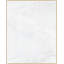 Neutral Pull 1 Painting by Thom Filicia