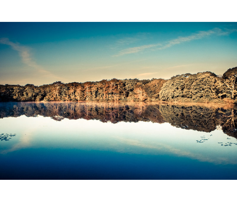Hampton Pond Print, 16" H x 24" W