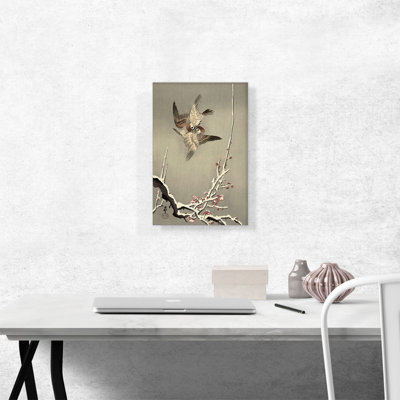 " Sparrows Fighting "