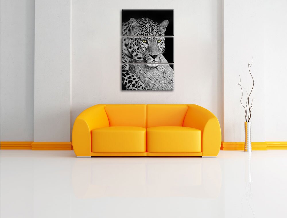 3-tlg. Leinwandbilder-Set Ruhender Leopard, Grafikdruck