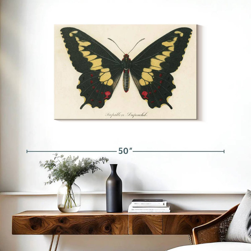 Brampt Natures Butterfly VI, 24" H x 36" W