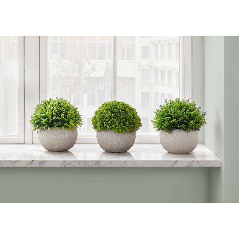 Plante artificielle, Blanc