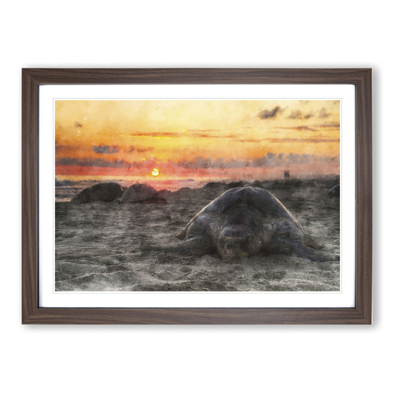 Turtle Beach - Picture Frame Graphic Art, 27cm H x 36cm W x 2cm D, Walnut