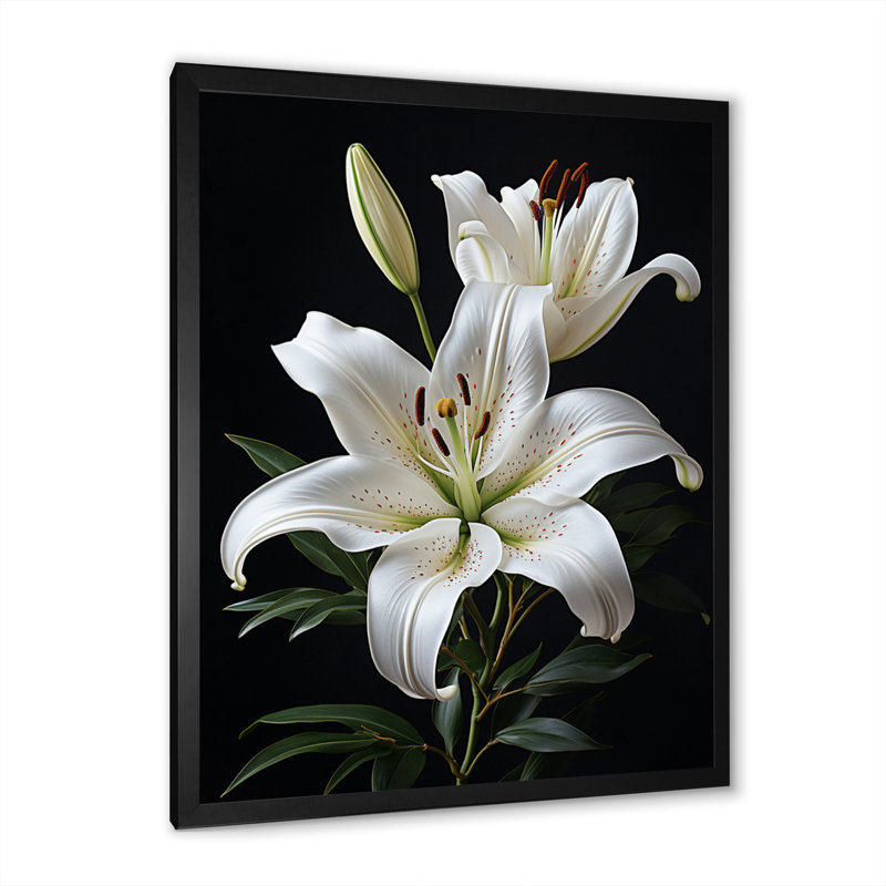 Black White Lily Exquisite II - Print, Black Single Picture Framed, 20" H x 12" W x 1" D