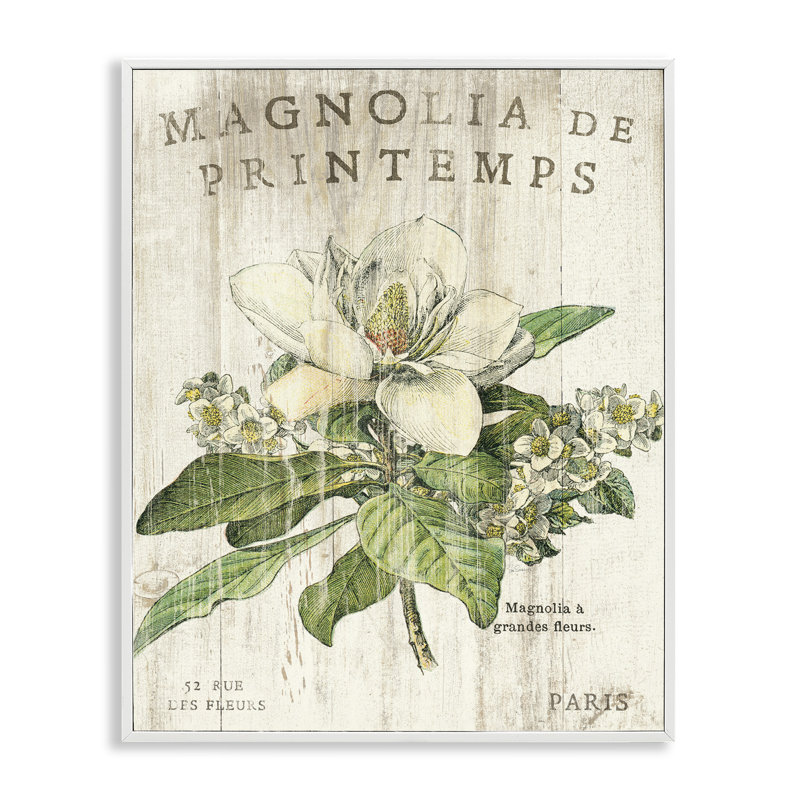 Magnolias français au printemps surdimensionné, art numérique sur estampe numérique par Sue Schlabach, H 30 po x l 24 po