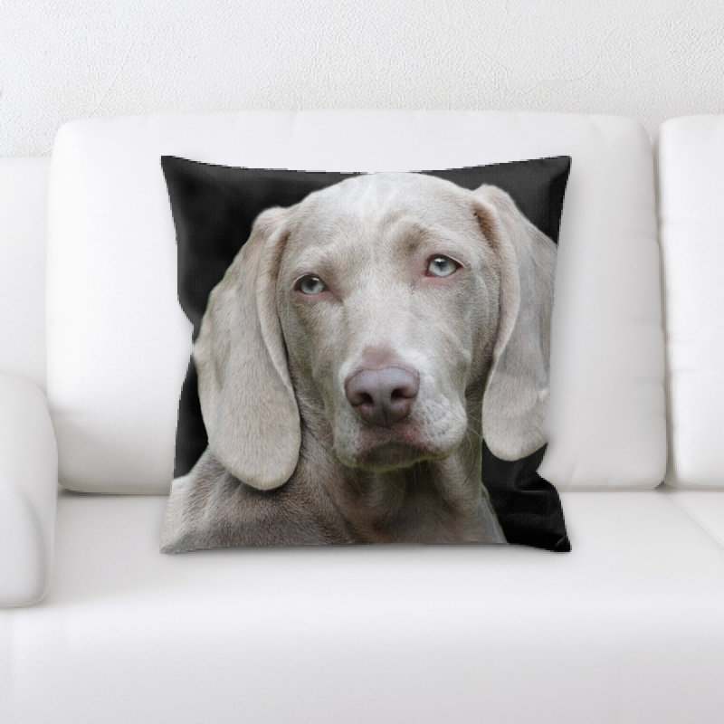 Coussin pour chien