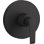 Avid Rite-Temp Valve Trim With Lever Handle