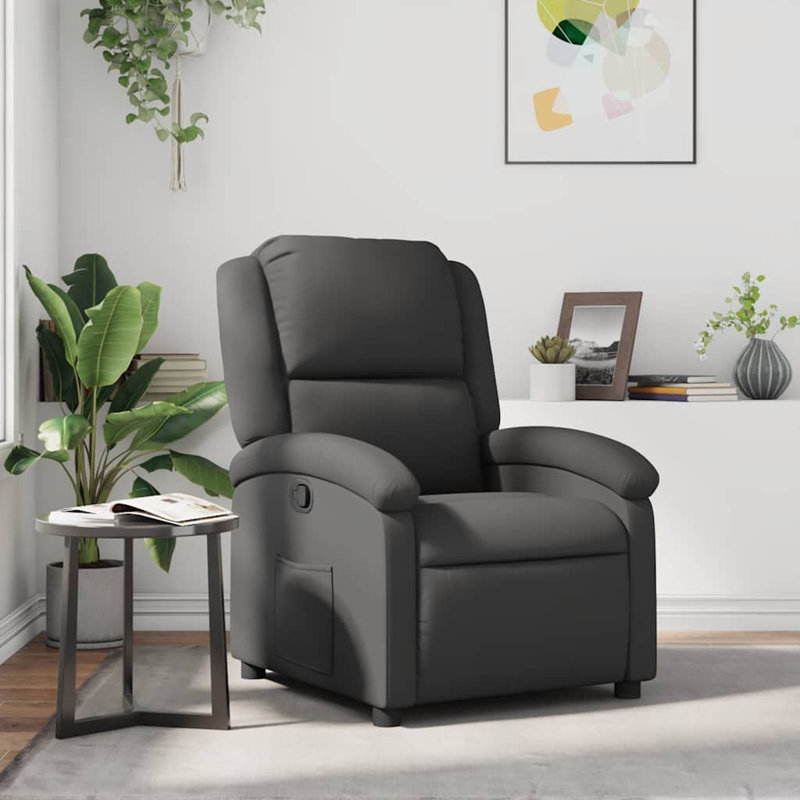 Fauteuil inclinable en cuir véritable gris, Gris