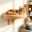 Lit pour chat mural