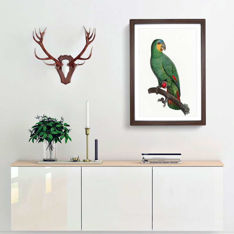 An Orange Winged Amazon Parrot 1 Piece Single Picture Frame Painting, 33cm H x 24cm W x 2cm D, Walnut Framed
