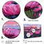 Ensemble d'art mural Northbridge - Tulipes-108459145-108459143