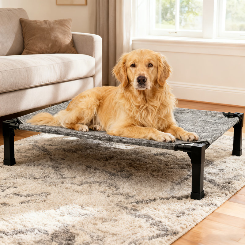 Lit pour chien Cooling Elevated, Argent, H 7,4 po x l 35,2 po x P 25 po