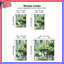 Lush Green Forest Illustration - rideaux obscurcissant et obscurcissant - 2 panneaux-1209790428-1209790417